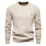 Rogier | Pull Élégant pour Hommes