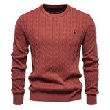Rogier | Pull Élégant pour Hommes