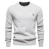 Rogier | Pull Élégant pour Hommes
