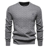 Rogier | Pull Élégant pour Hommes