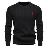 Rogier | Pull Élégant pour Hommes