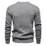 Rogier | Pull Élégant pour Hommes
