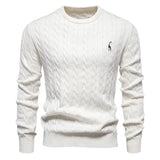 Rogier | Pull Élégant pour Hommes