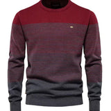 Raymond | Pull Élégant pour Hommes