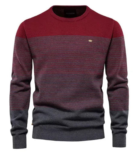Raymond | Pull Élégant pour Hommes